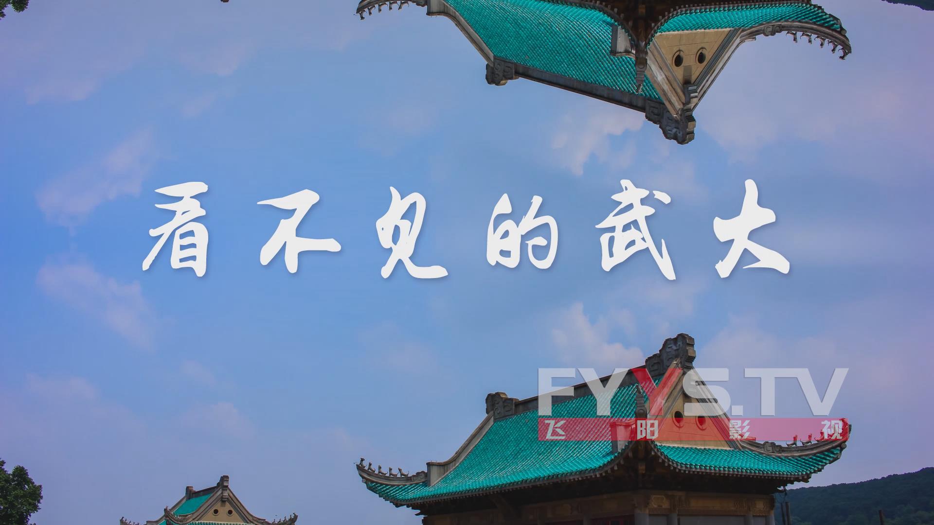 武漢大學(xué)2017迎新生開學(xué)典禮宣傳片《看不見的武大》